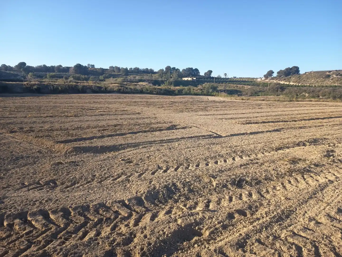 Terreno rústico en venta en Desamparados - Hurchillo - Torremendo, imagen 7