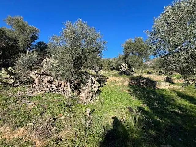 Residential land for sale in Can Muni. Polígono 2 Parcela, imagen 11