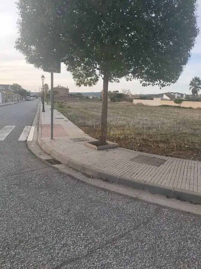Terreni e lotti in vendita a Archidona, imagen 21