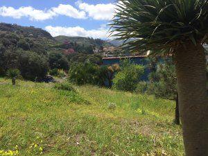 Photo 5 of Residential for sale in Camino de las Rochas, 21, San José de las Vegas - La Atalaya, Santa Brígida