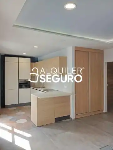 Kitchen of Flat for rent in Centro