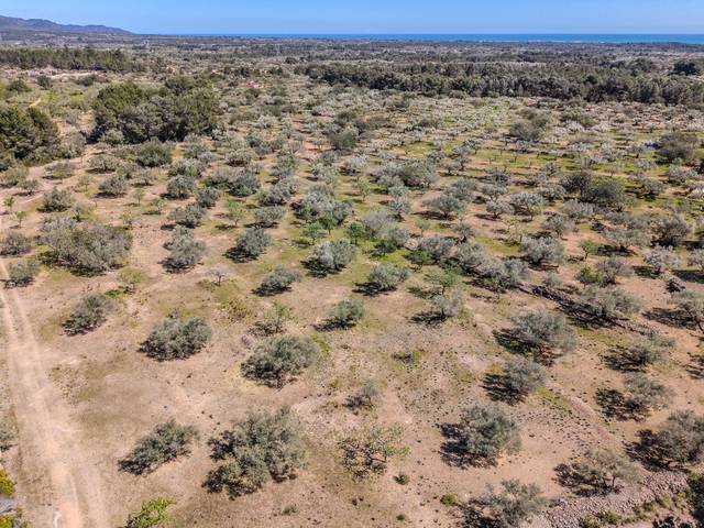 Terreno en Venta en Zn Diseminats, 56 en El Perelló