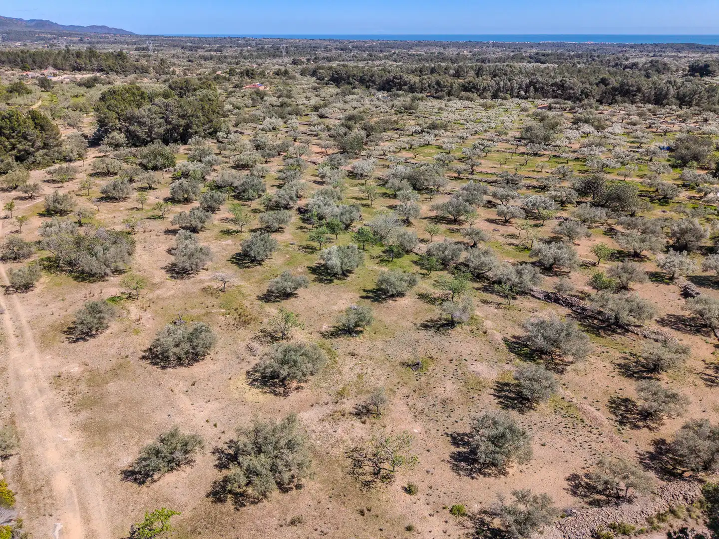 Terreno en venta en El Perelló