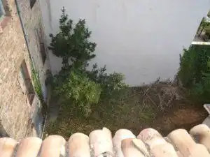 Immobles singulars en venda a Casco Urbano, imagen 45