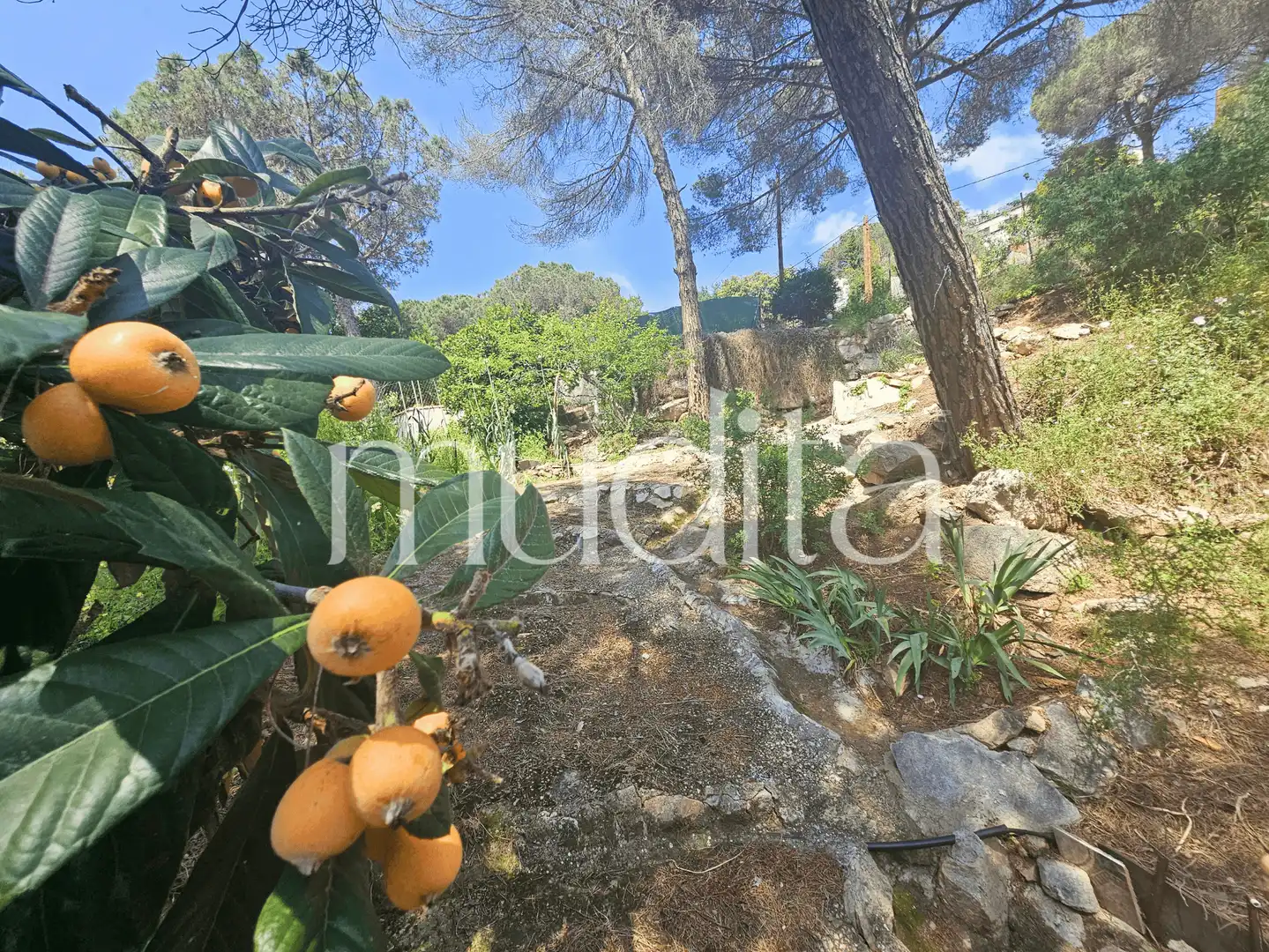 Terreno residencial en venta en Joan Maragall i Gorina, imagen 13