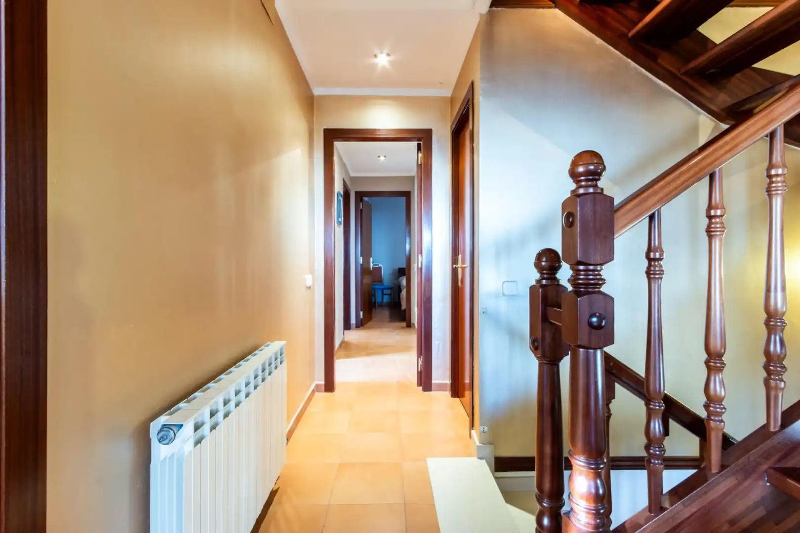 Villa avec jardin à vendre à Airesol, imagen 29