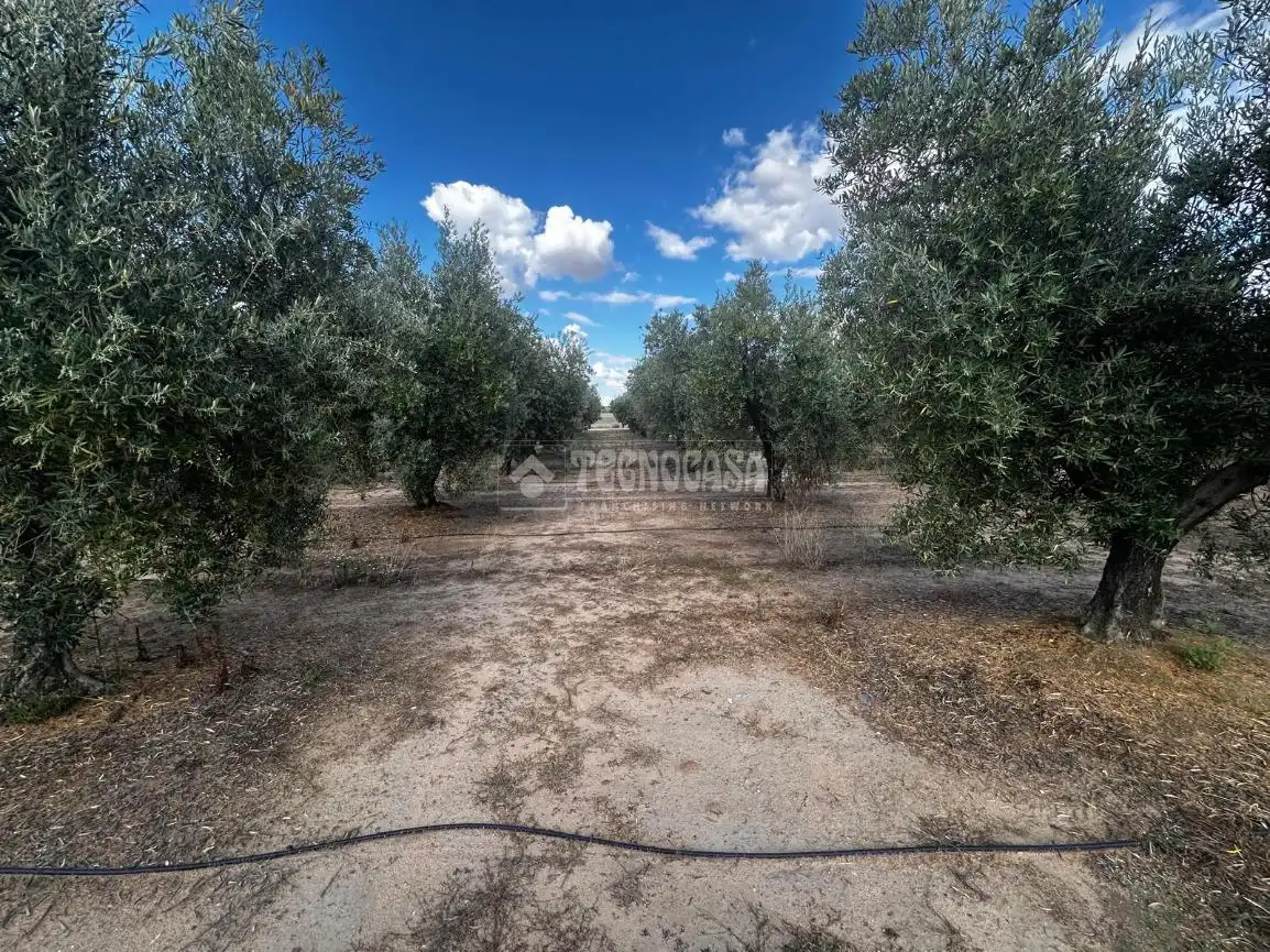 Land for sale in Guareña