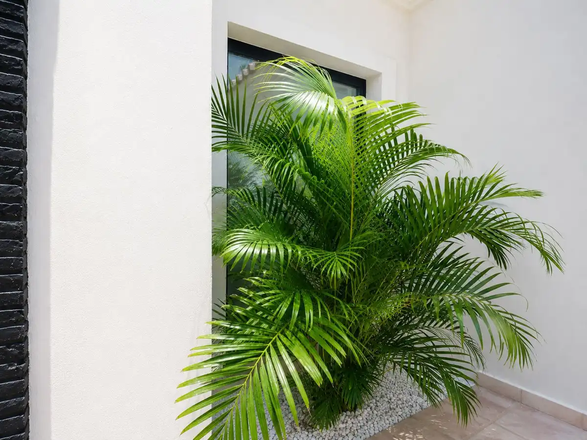 Reihenhaus zum Verkauf in Benamara - Atalaya, imagen 8