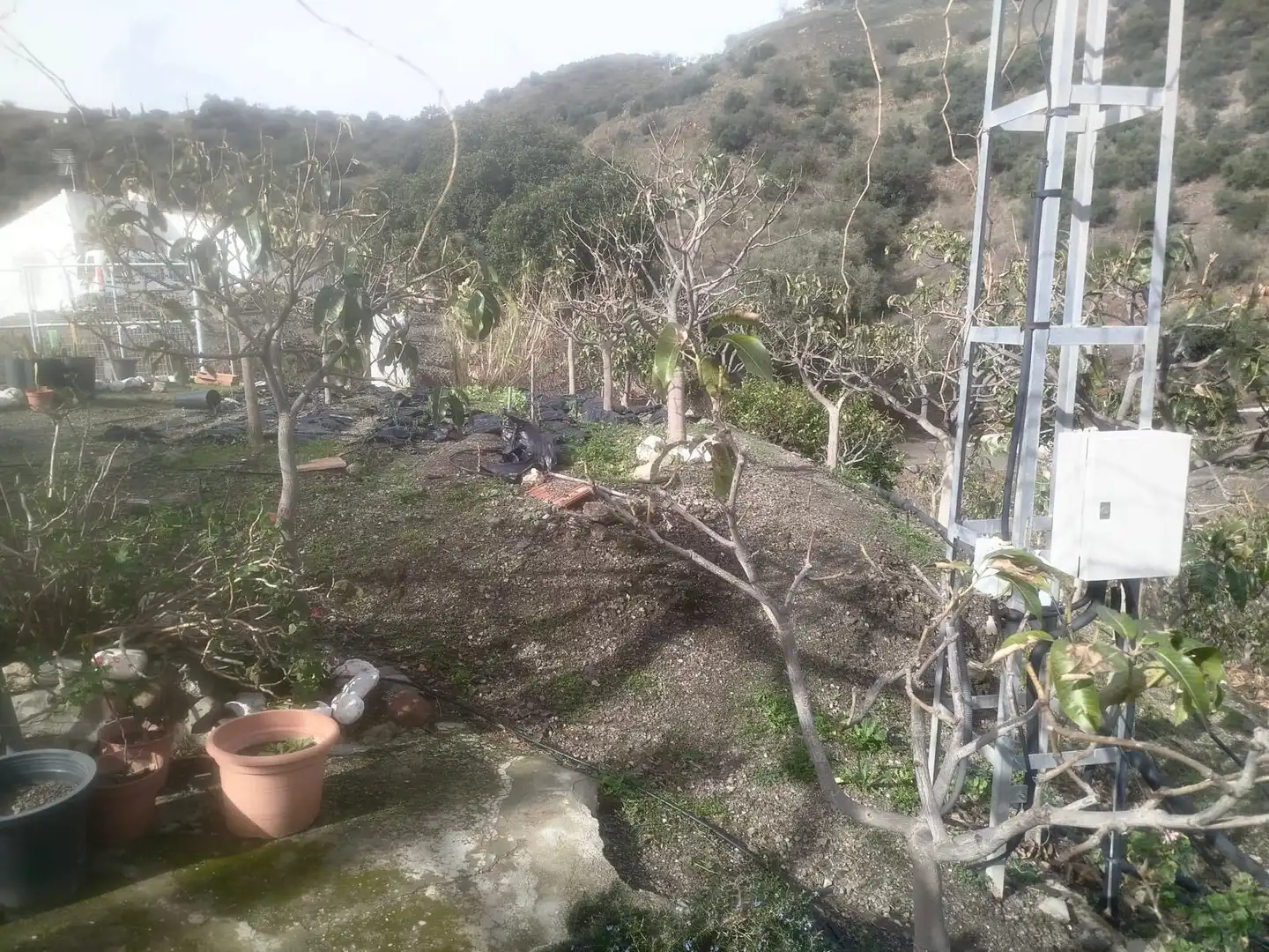 Jardí de Finca rústica en venda en Vélez-Málaga amb Jardí privat, Traster i Moblat