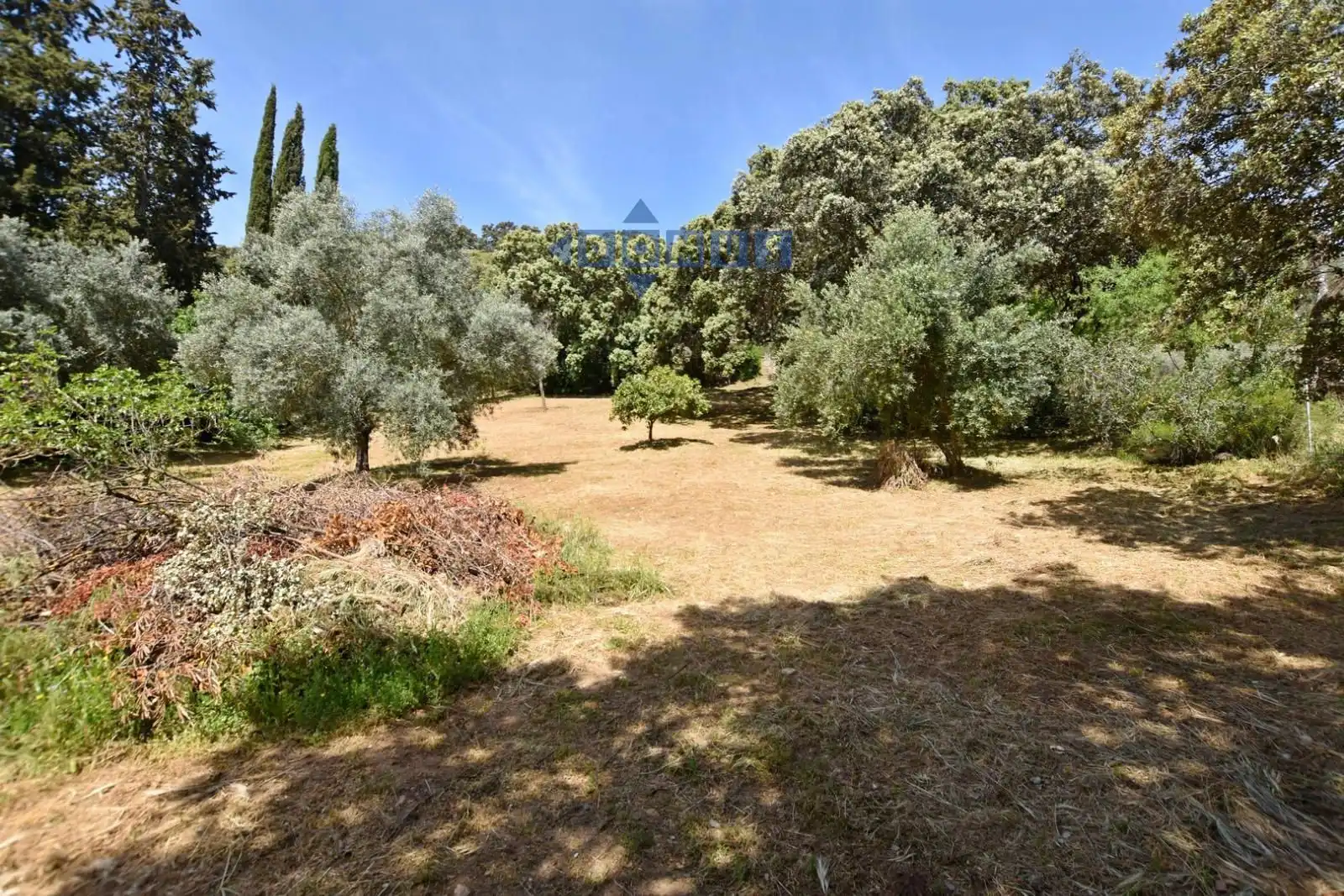 Finca rústica en venta en Ronda con Aire acondicionado, Trastero y Piscina