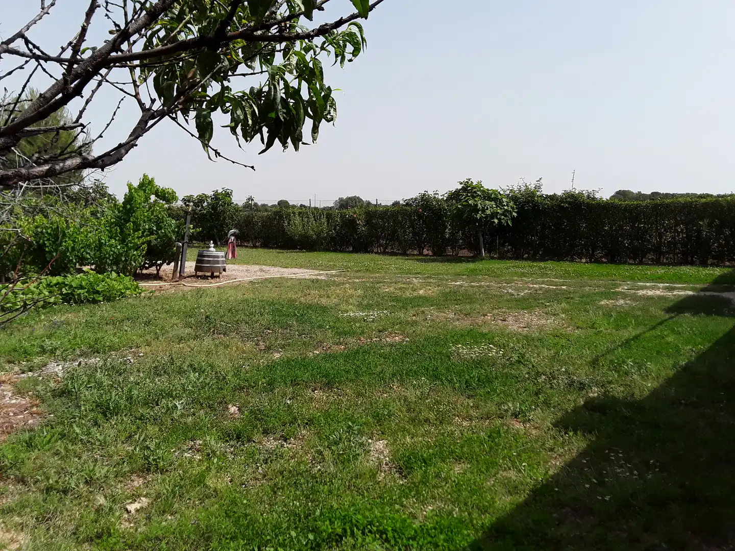 Xalet amb piscina en venda a Fuente El Saz de Jarama, imagen 53
