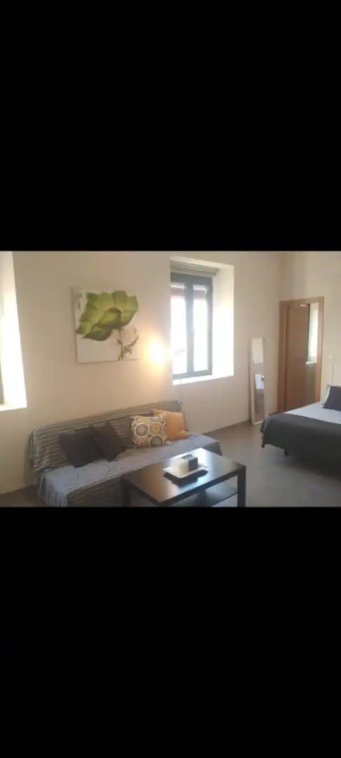 Wohnzimmer von Wohnung zur Miete in Málaga mit Möbliert