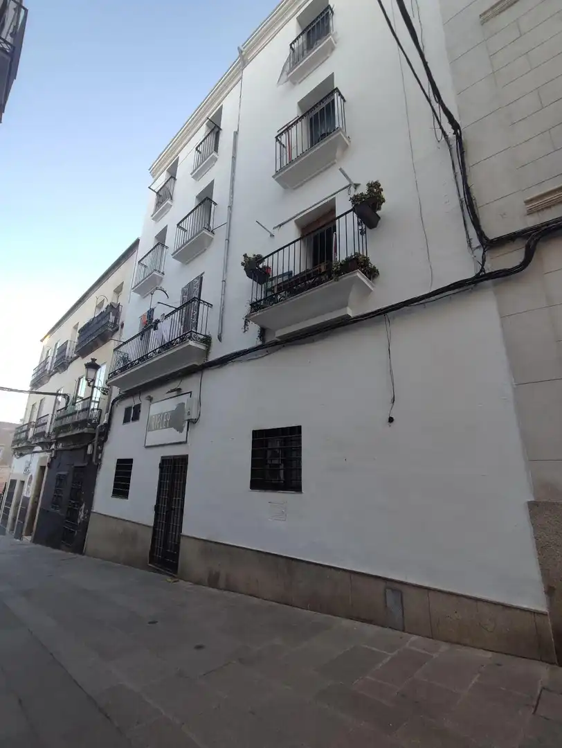 Immobles singulars en venda a Casco Antiguo