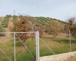Land for sale in Alhaurín de la Torre