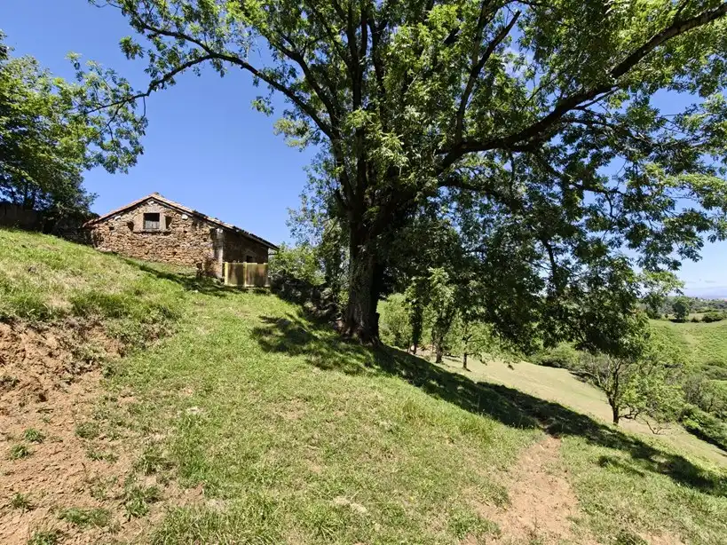 Terreno rustico in vendita a Proaza, imagen 25