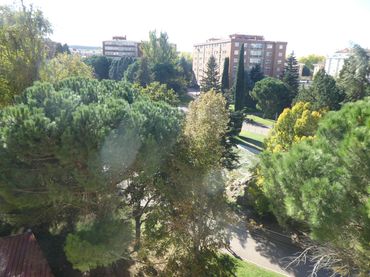 Piso con ascensor en venta en Capiscol - Gamonal