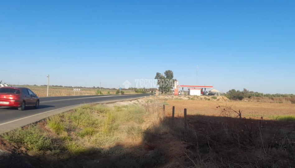 Foto 1 de Finca rústica en venda a Aznalcázar, Sevilla