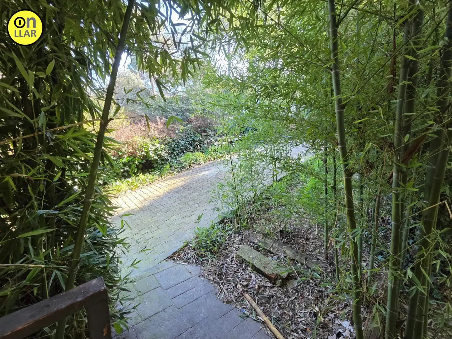Jardín de Casa o chalet en venta en Sant Pere de Vilamajor
