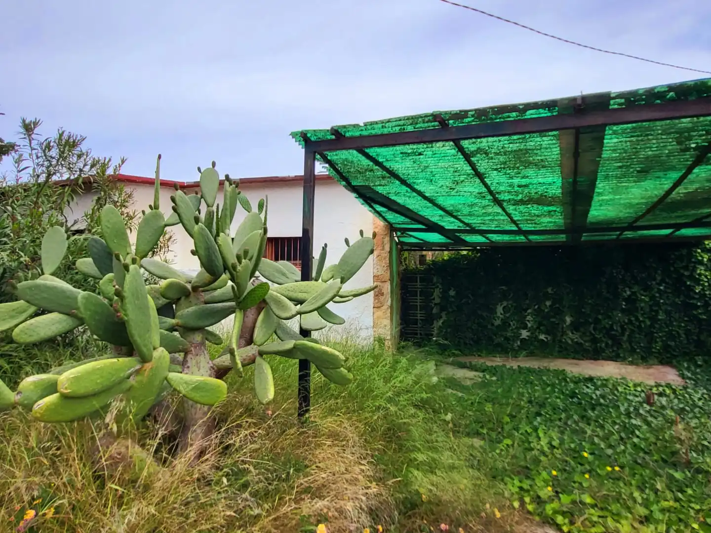Jardí de Casa o xalet en venda en Torredembarra amb Jardí privat, Terrassa i Moblat