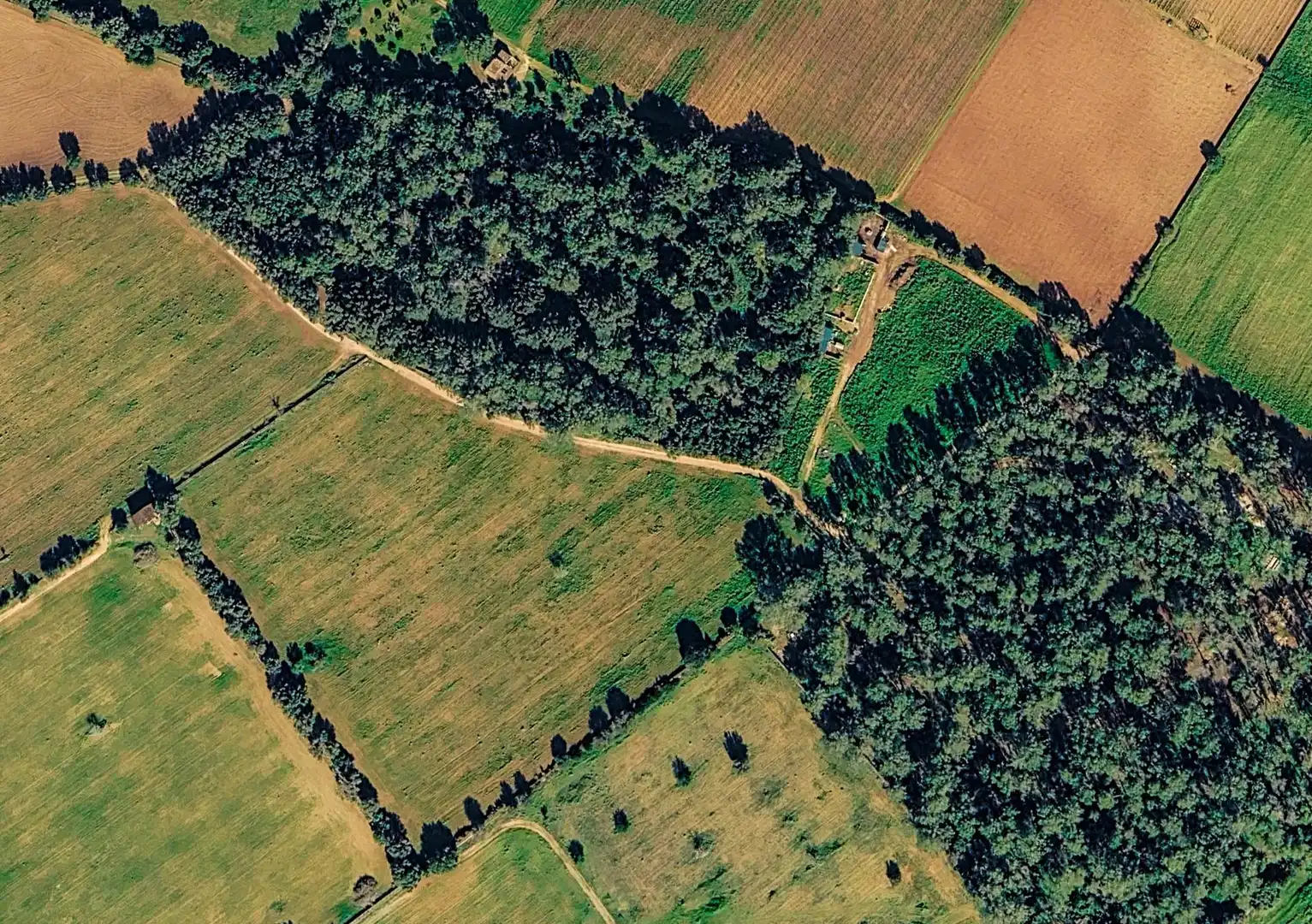Terreny rústic en venda a Sencelles