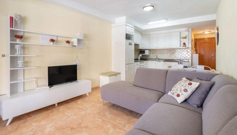 Photo 1 of Apartment to share in Tavernes de la Valldigna, Valencia