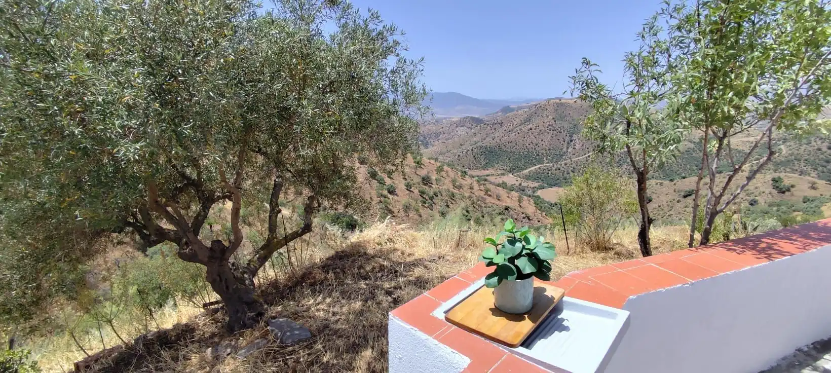 Jardí de Finca rústica en venda en Almogía amb Jardí privat