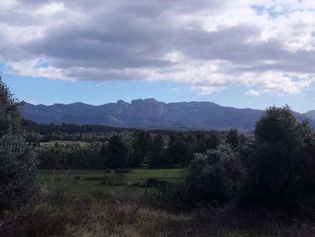 Terreno en Venta en Lledó