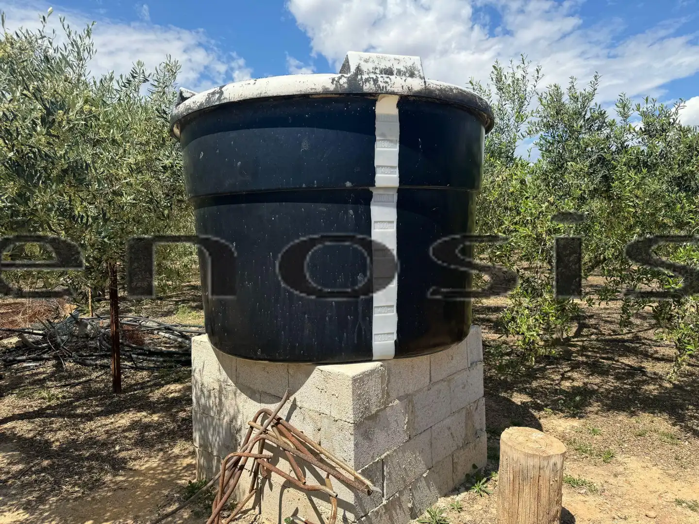 Exterior view of Country homes for sale in Torre-Pacheco  with Private garden, Furnished and Oven