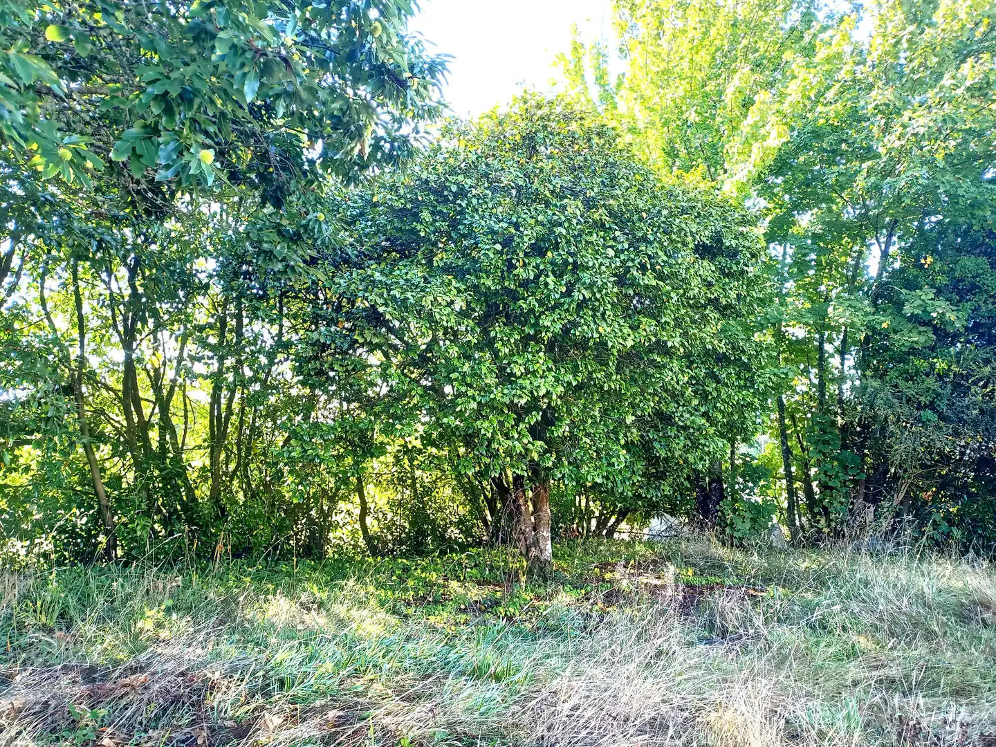Finca rústica en venta en Vilalba con Calefacción, Jardín privado y Terraza