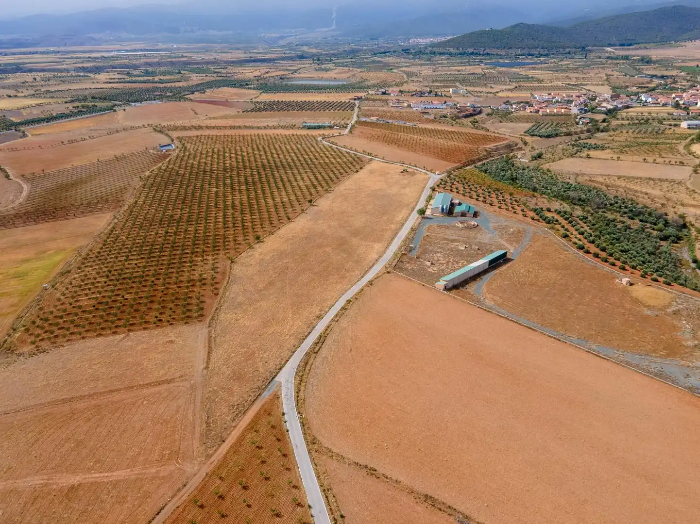 Terreno en venta en Cogollos de Guadix