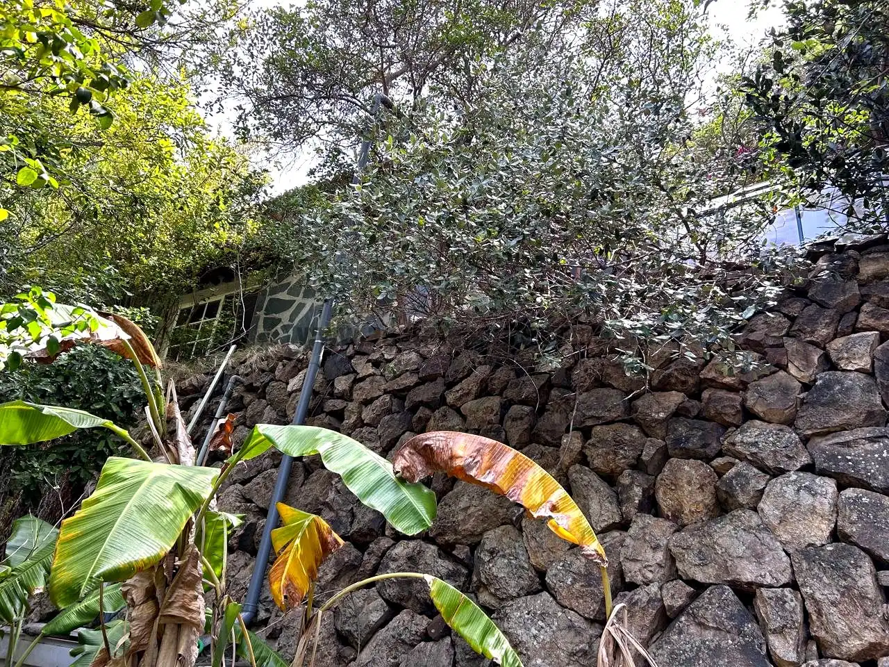 Finca rústica en venta en Vallehermoso con Aire acondicionado, Calefacción y Jardín privado