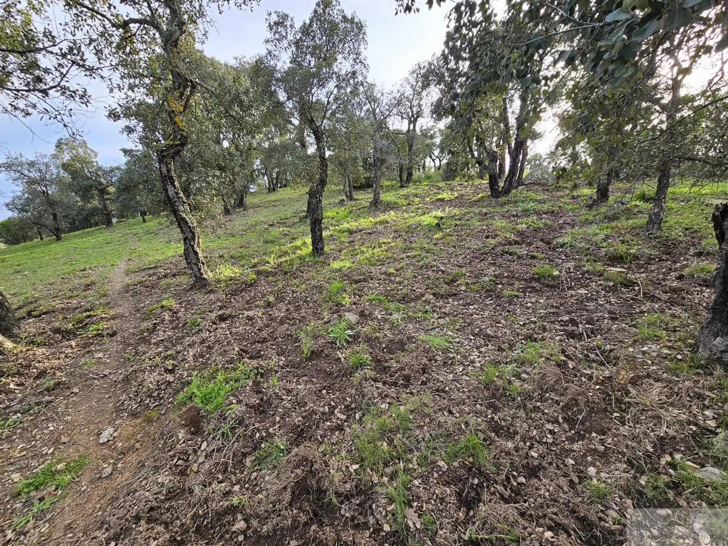 Terreno residenziale in vendita a Platja d'Aro, imagen 3