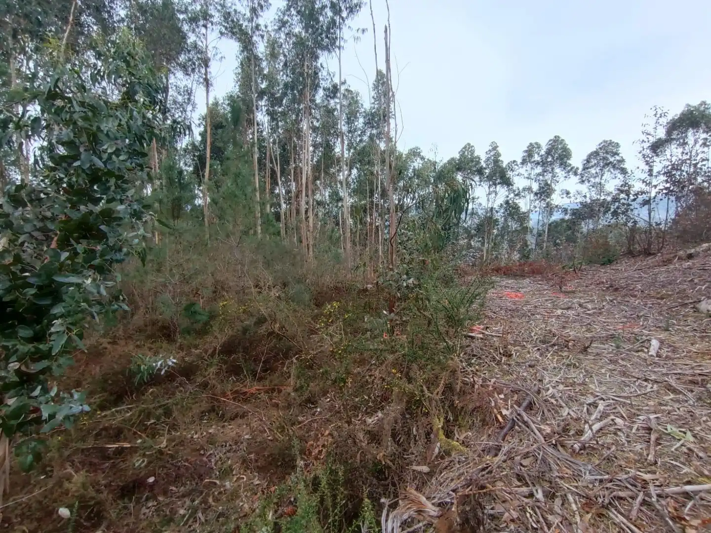 Terreny residencial en venda a Lugar CONS-MOURENTE 21, imagen 18