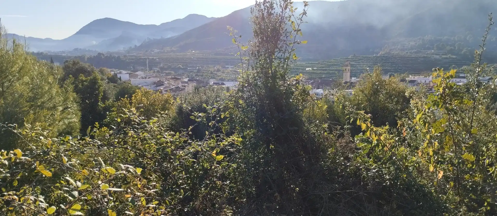 Terreny rústic en venda a L'Atzúbia, imagen 4