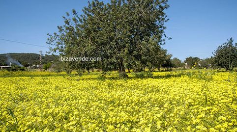 Foto 3 de Casa o chalet en venta en Sant Jordi de Ses Salines - Sant Francesc, Sant Josep de sa Talaia