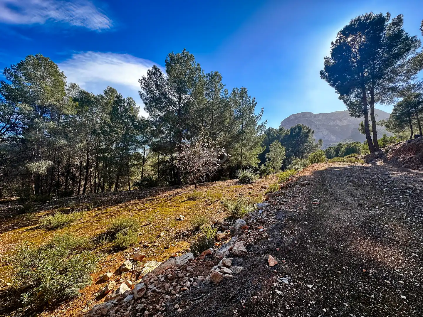 Vista exterior de Terreno en venta en Polop