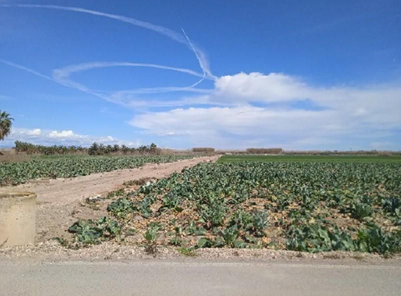 Exterior view of Residential for sale in Dolores