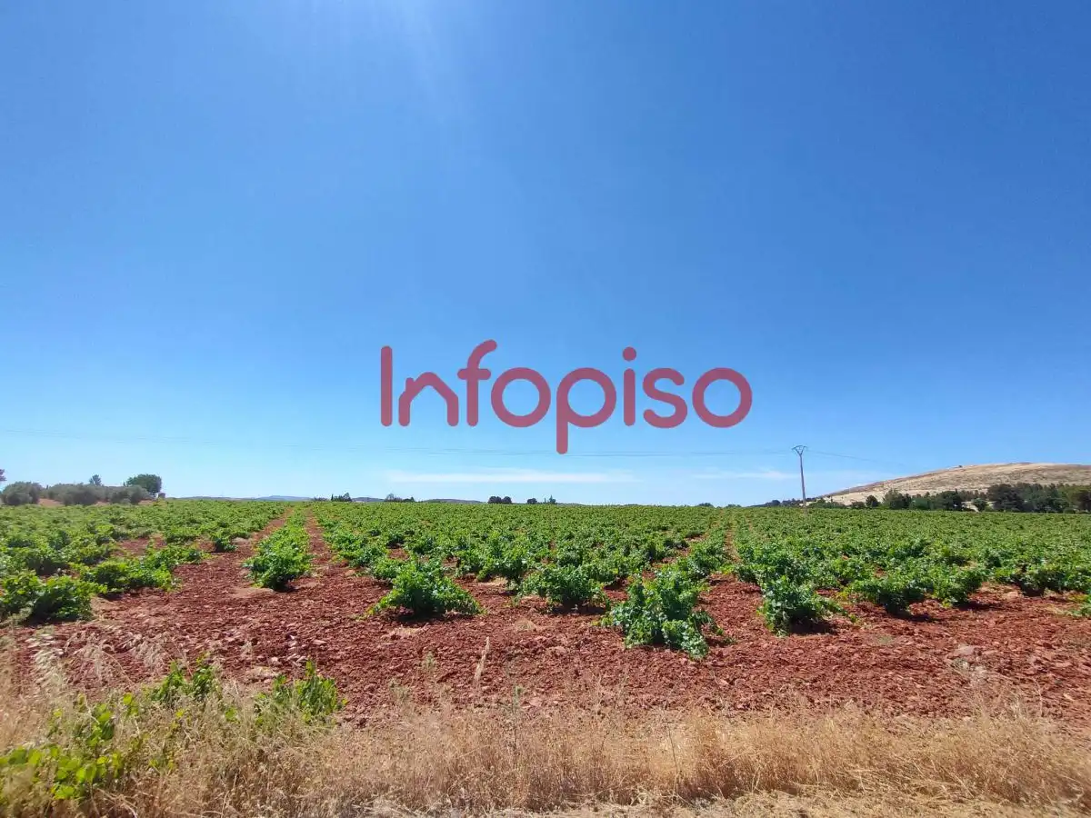 Lands and plots for sale in Valdepeñas, imagen 6