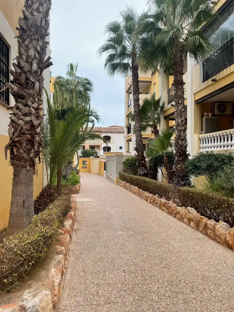 Vista exterior de Ático en venta en Torrevieja con Aire acondicionado, Jardín privado y Terraza