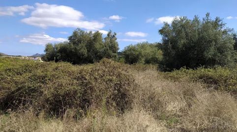 Terreno Agricola en Almiserat, image 2