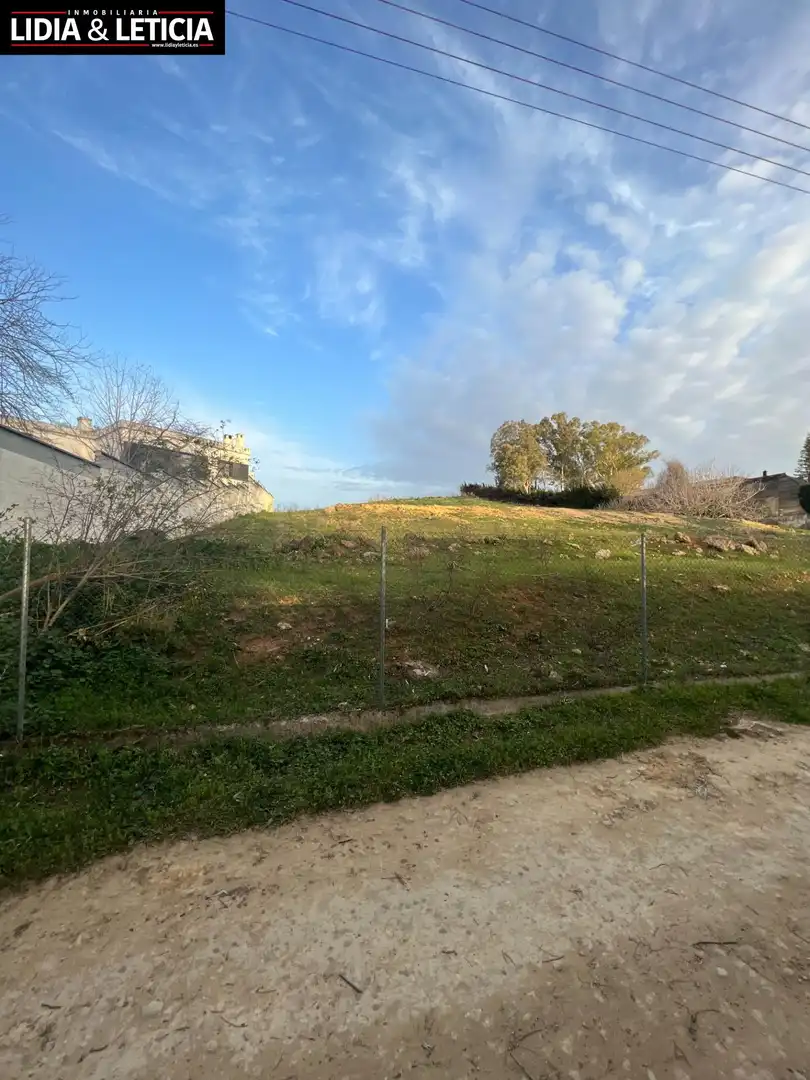 Rural land for sale in Nueva Alcalá, imagen 3