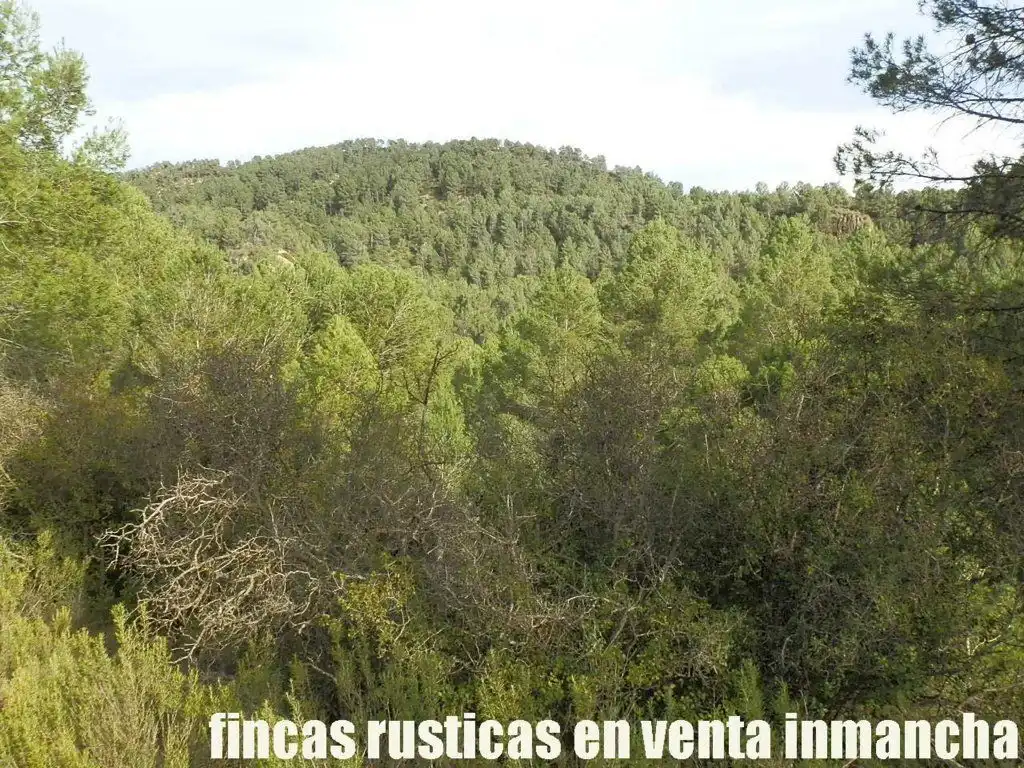 Rural land for sale in Requena, imagen 14