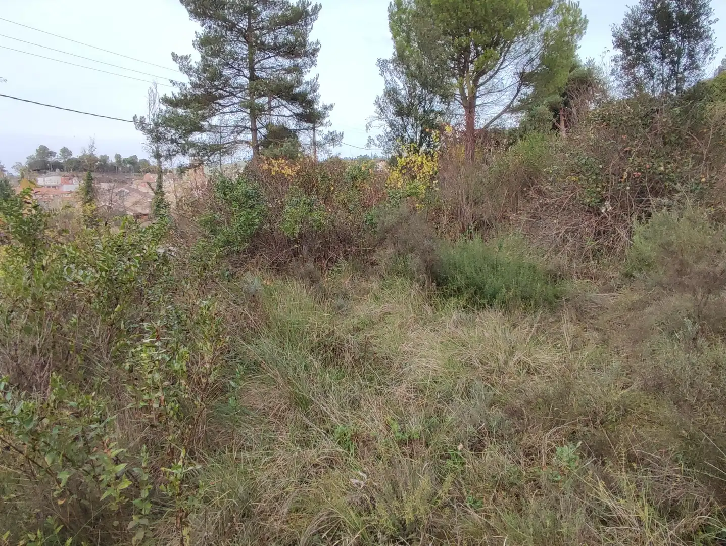 Terrain rustique à vendre à Monistrol de Calders, imagen 43