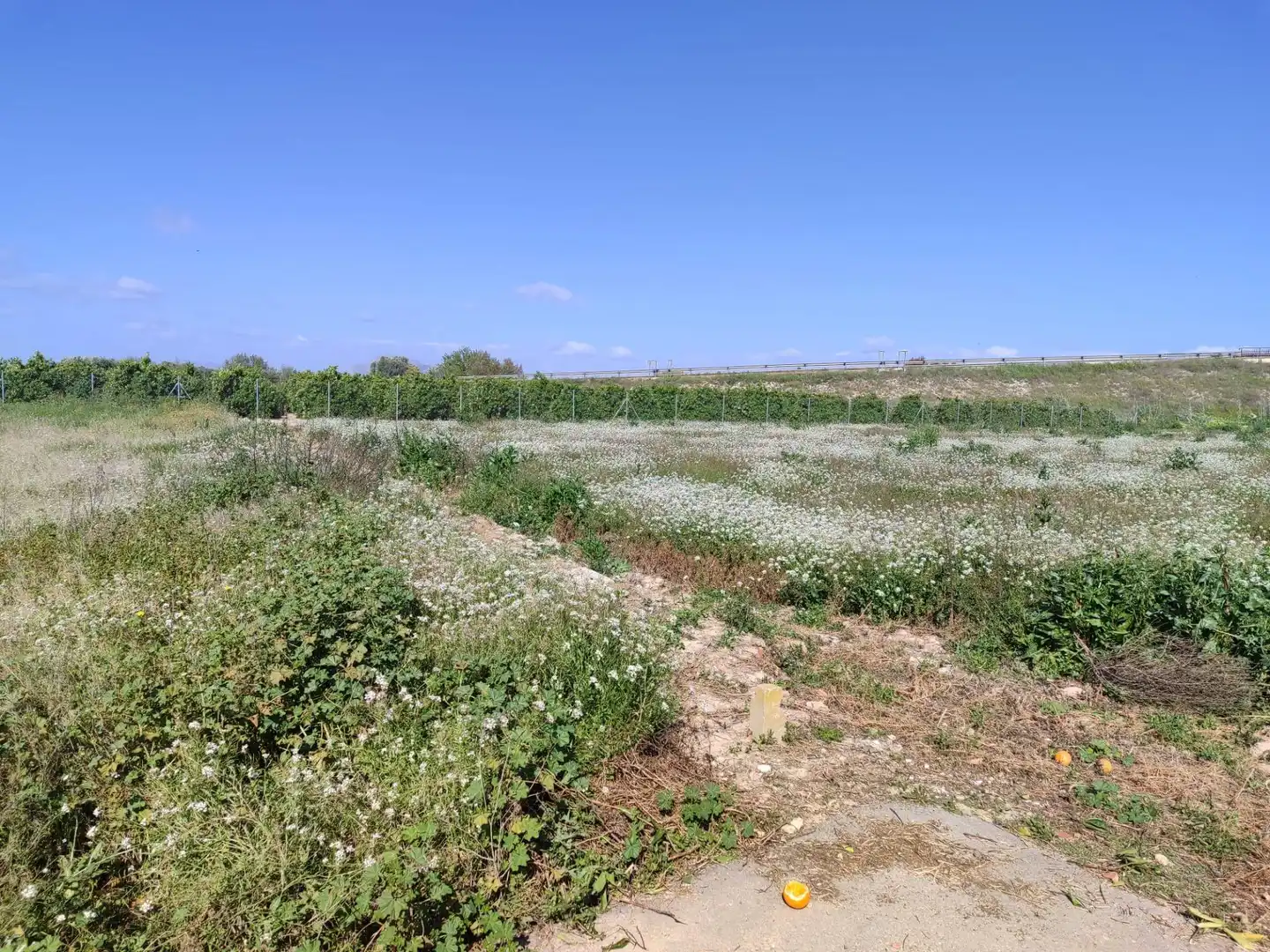 Terreno rústico en venta en Formentera del Segura, imagen 5