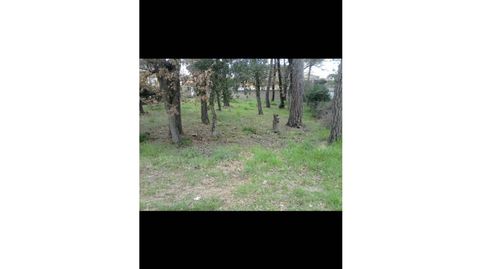 Solar en venta en Sils, immagine 2