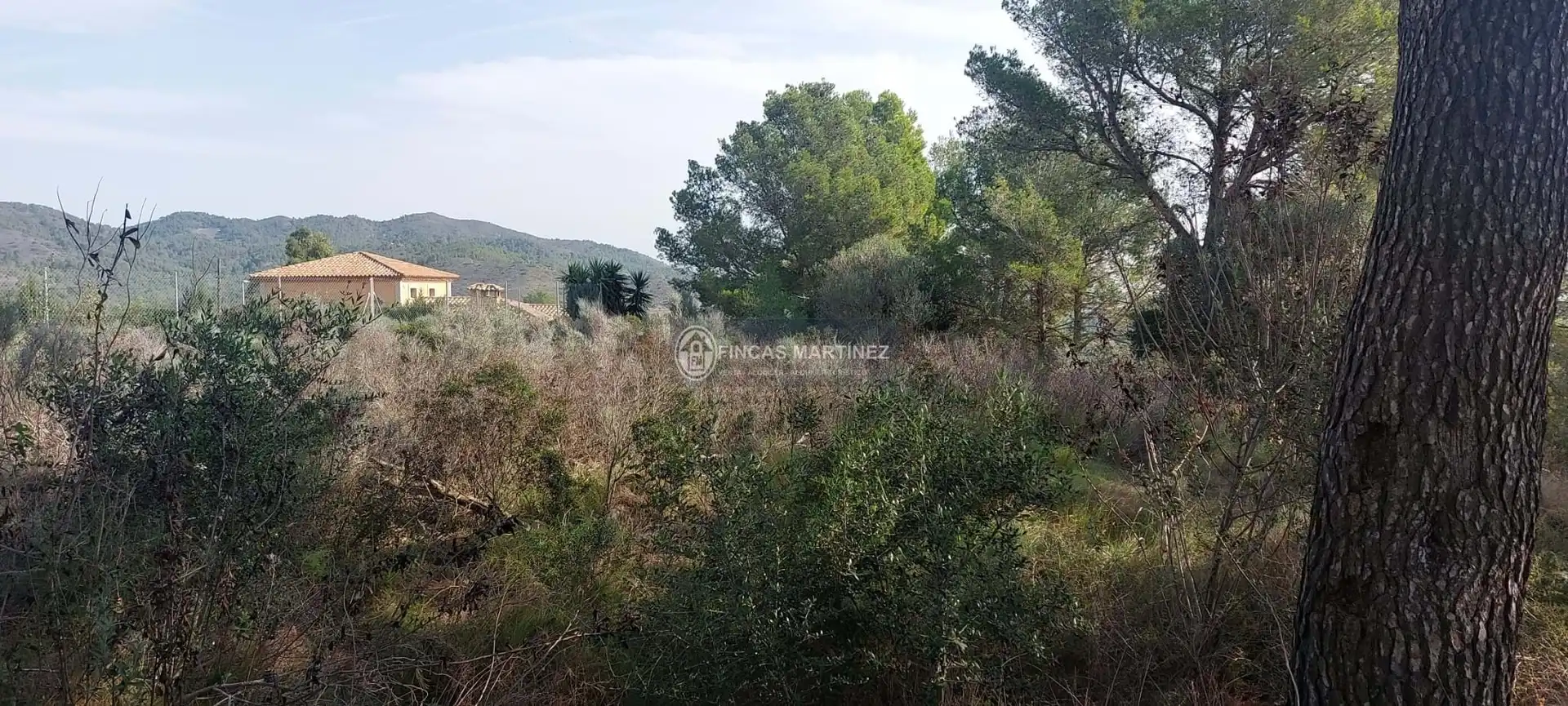 Terrenys i solars en venda a urbanizacion mar de riudecanyes, imagen 3