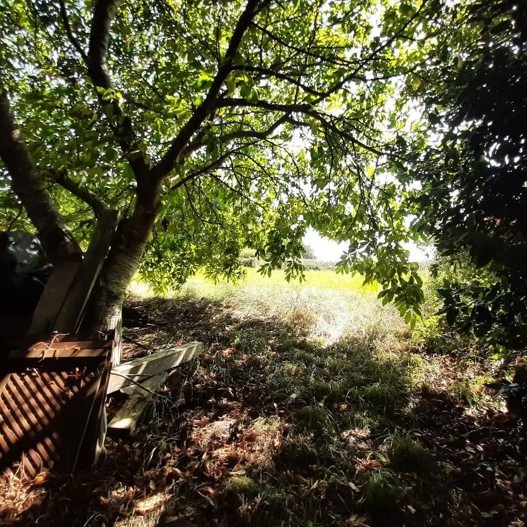 Detached house with garden for sale in LG VIVERO 1, imagen 29