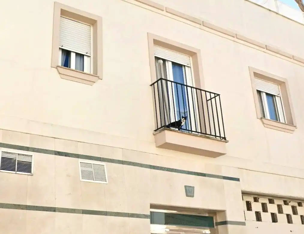 Terraza de Apartamento en venta en Pedrera