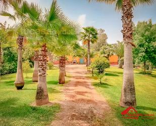 Vista exterior de Finca rústica en venda en Montoro amb Jardí privat