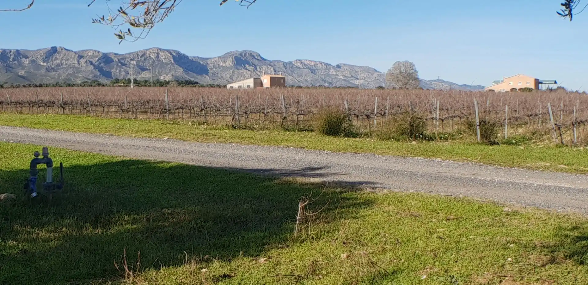 Vista exterior de Finca rústica en venta en El Perelló con Jardín privado, Terraza y Trastero